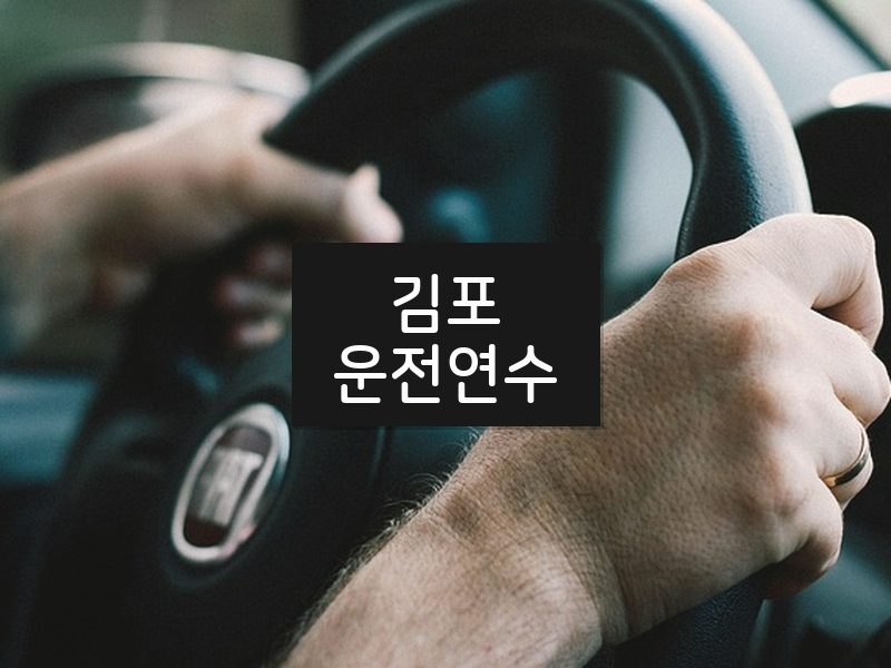 김포운전연수 후기