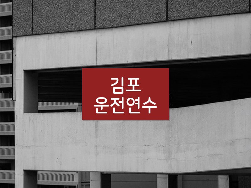 김포운전연수 후기