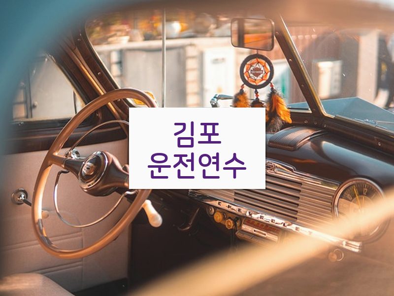 김포운전연수 후기