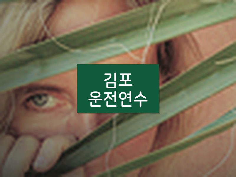 김포운전연수 후기