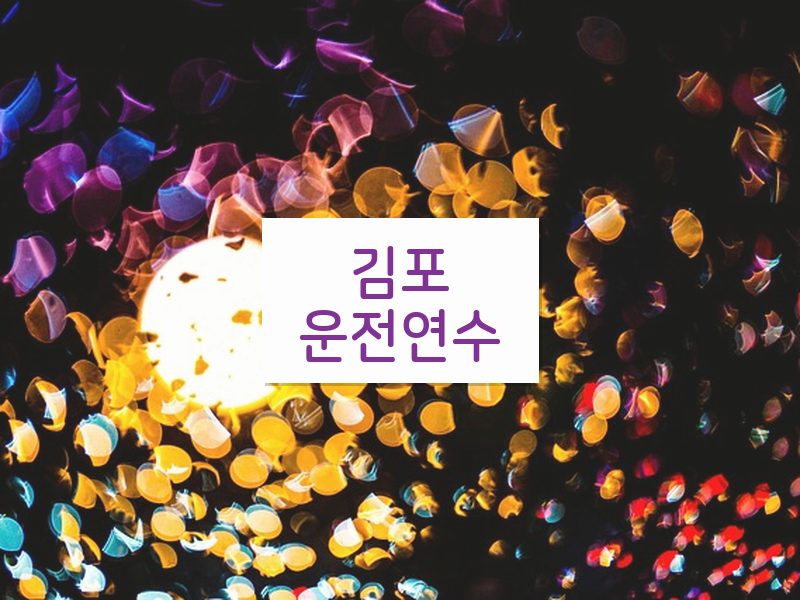 김포운전연수 후기