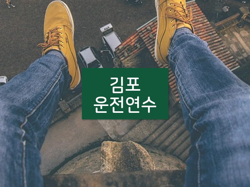 김포운전연수 후기