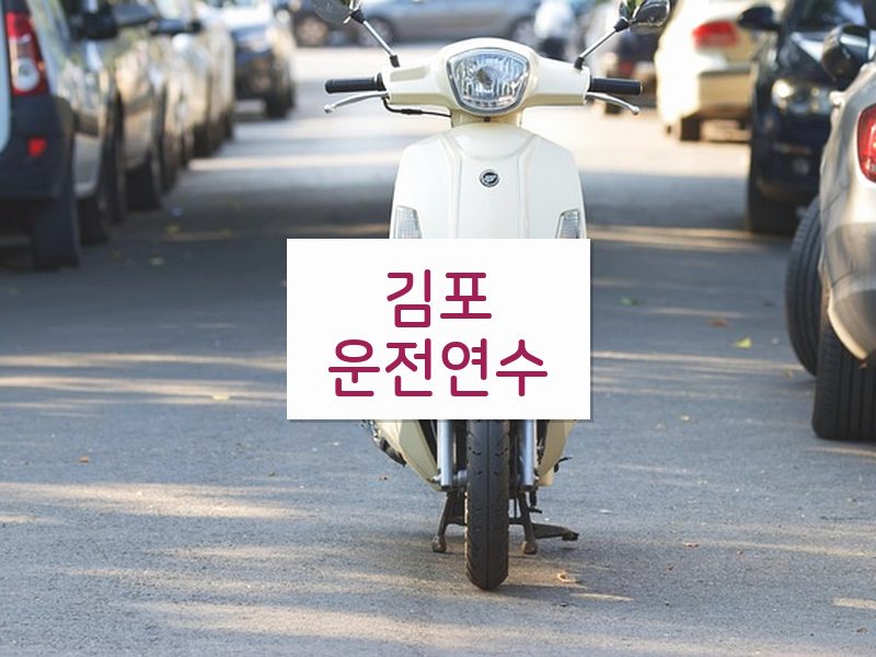 김포운전연수 후기