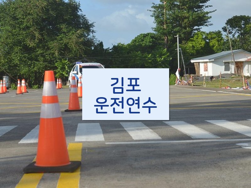 김포운전연수 후기