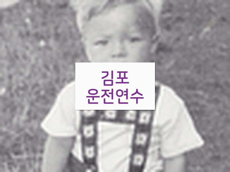 김포운전연수 후기