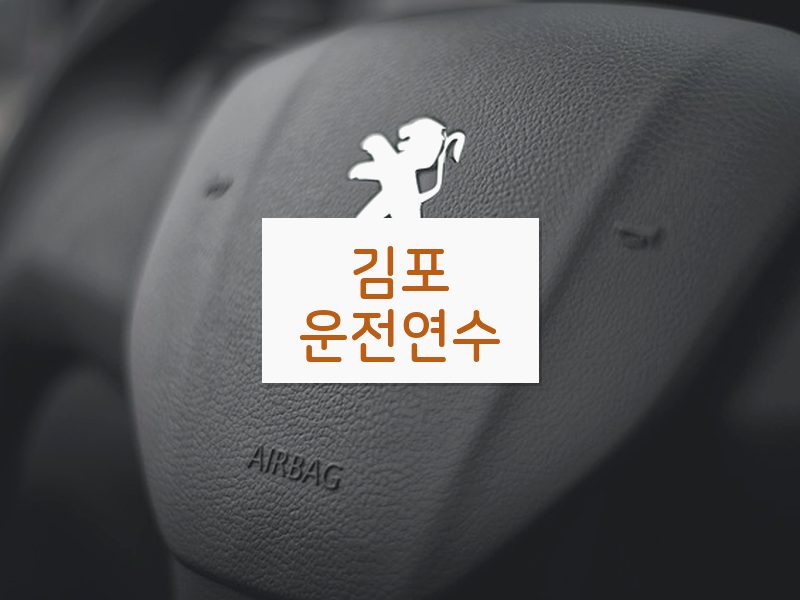 김포운전연수 후기