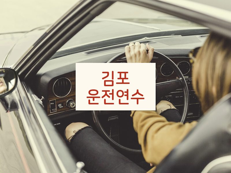 김포운전연수 후기