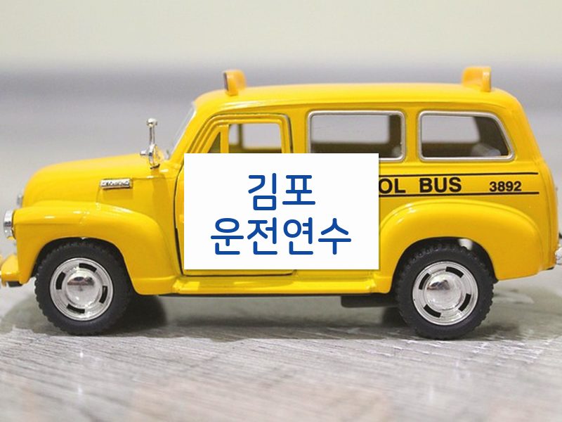 김포운전연수 후기
