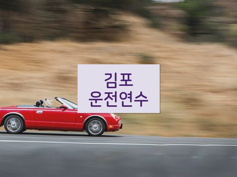 김포운전연수 후기