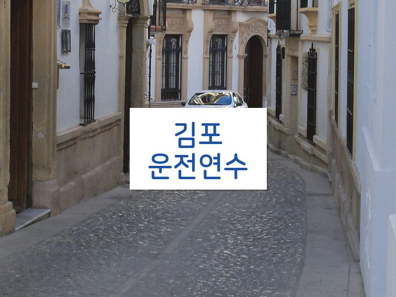 김포운전연수 후기