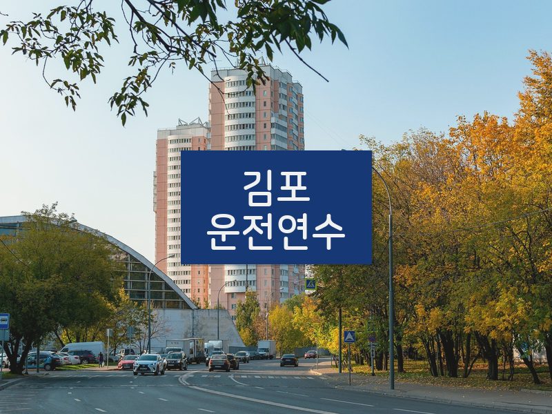 김포운전연수 후기
