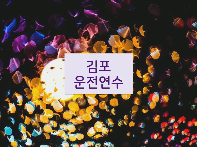 김포운전연수 후기