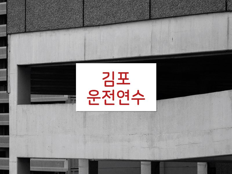 김포운전연수 후기