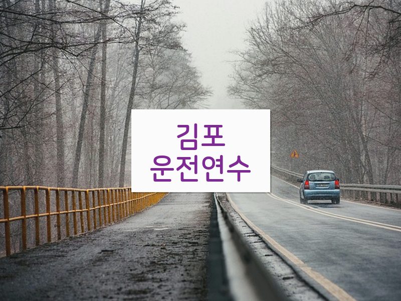 김포운전연수 후기