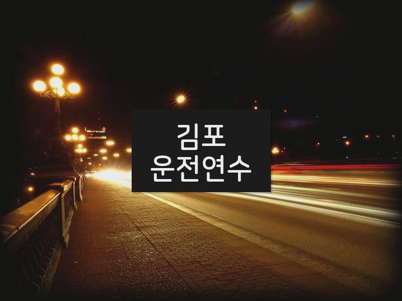 김포운전연수 후기