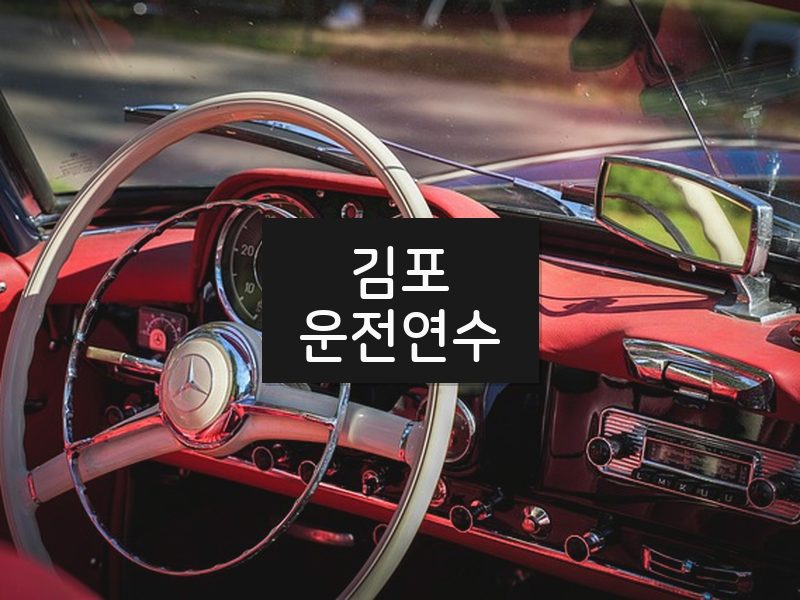 김포운전연수 후기
