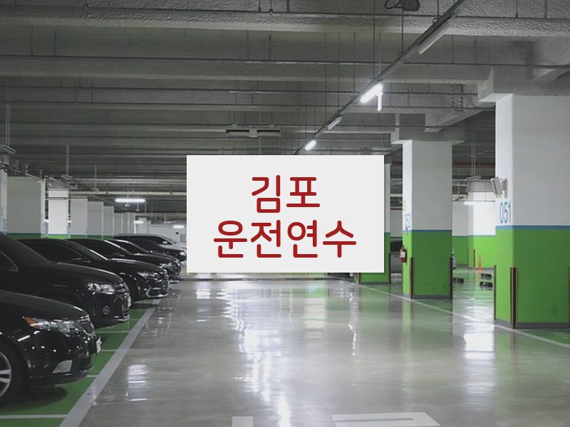 김포운전연수 후기