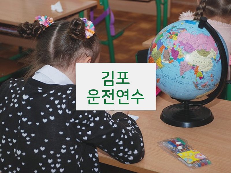 김포운전연수 후기