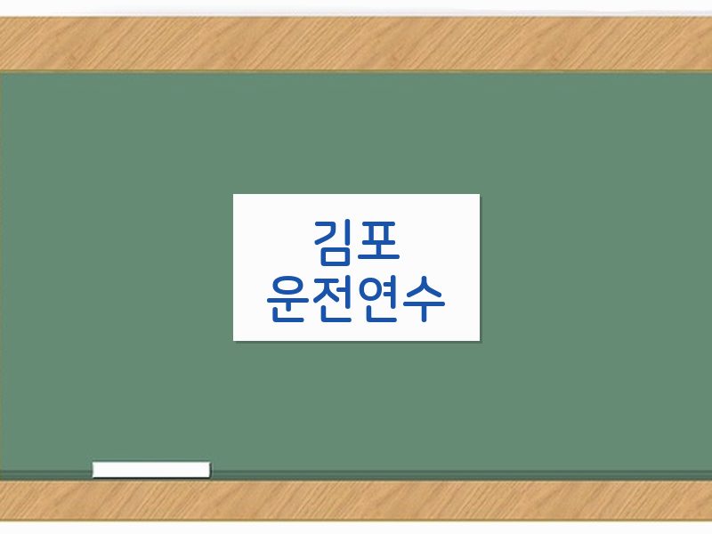 김포운전연수 후기