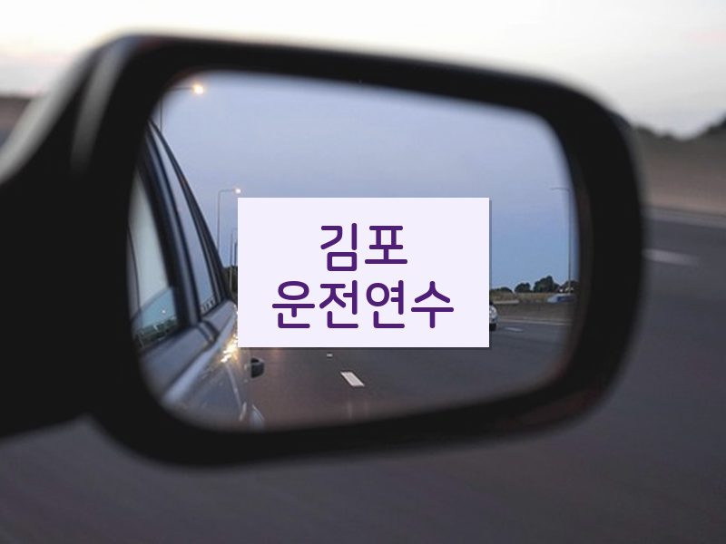 김포운전연수 후기