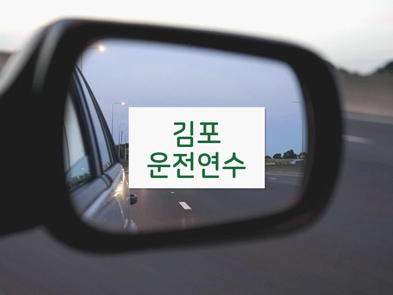 김포운전연수 후기