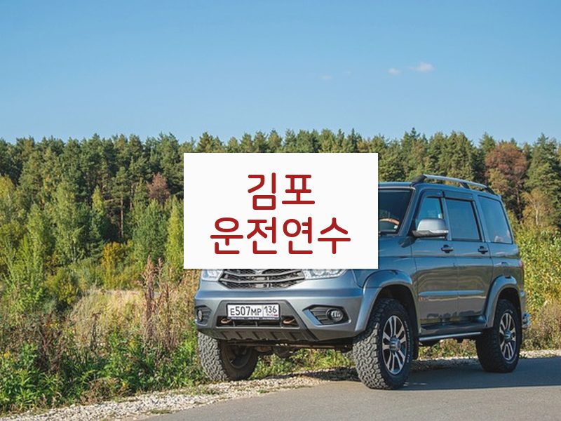 김포운전연수 후기