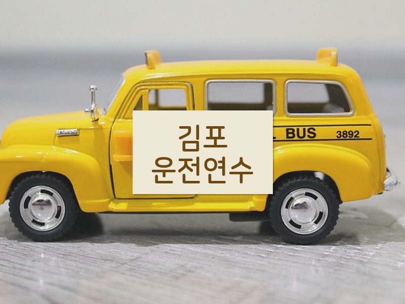 김포운전연수 후기