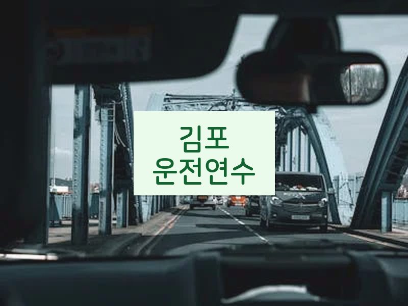 김포운전연수 후기