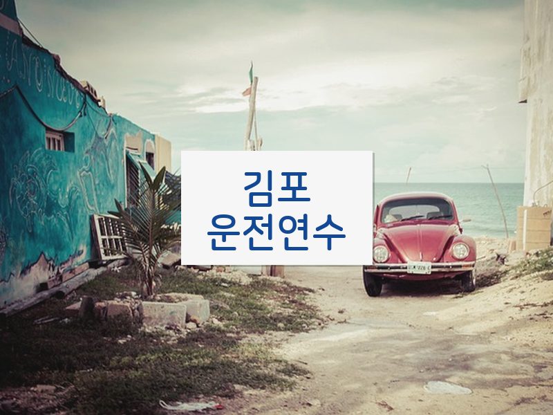 김포운전연수 후기