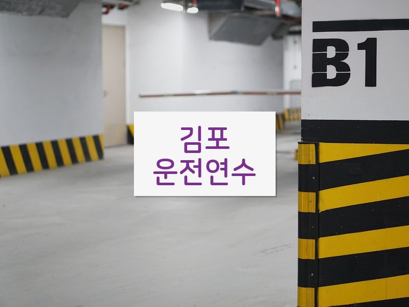 김포운전연수 후기