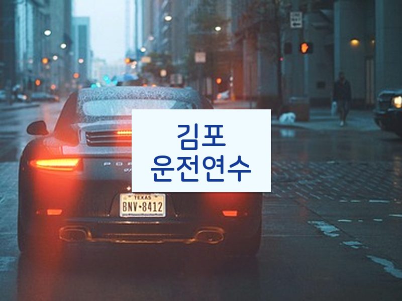 김포운전연수 후기