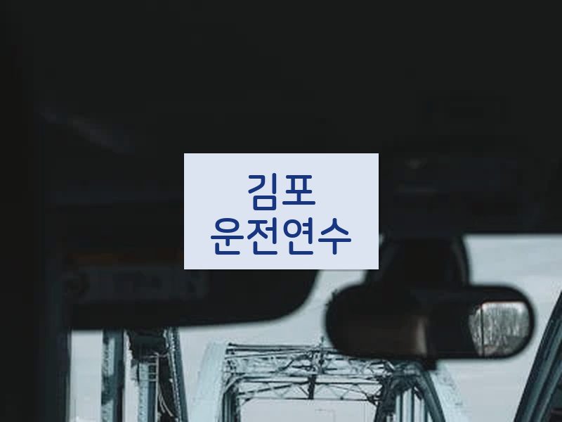 김포운전연수 후기
