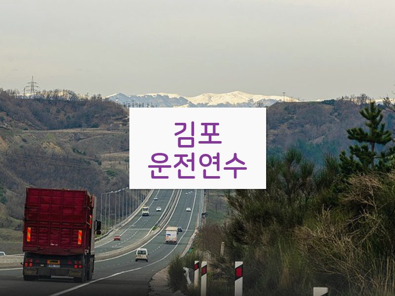 김포운전연수 후기