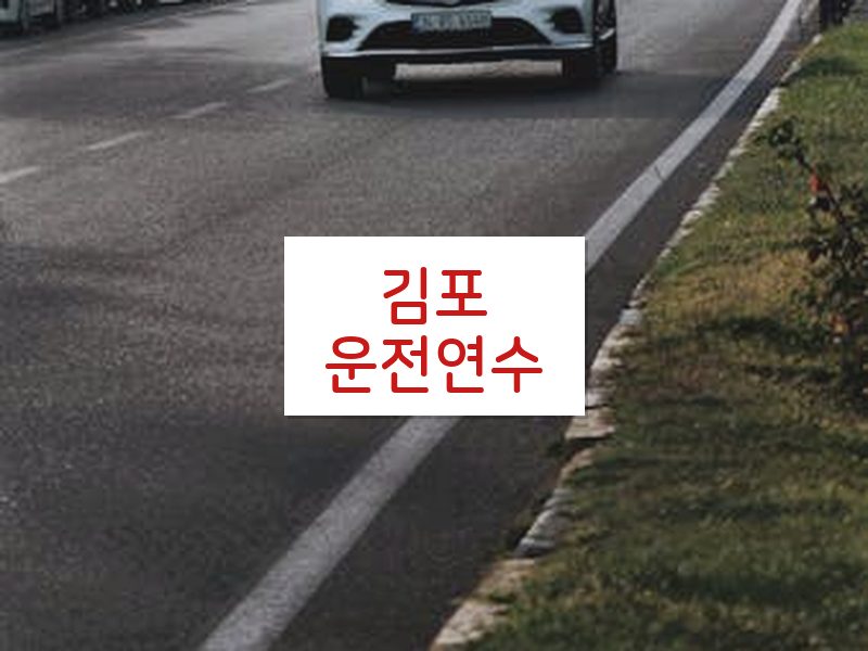 김포운전연수 후기