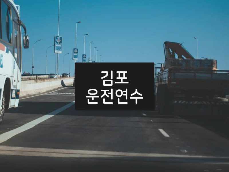 김포운전연수 후기