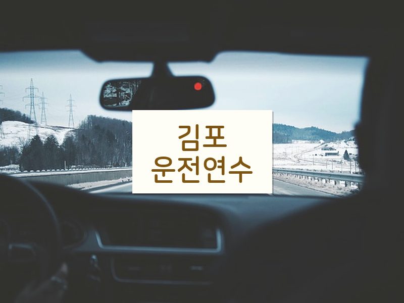 김포운전연수 후기