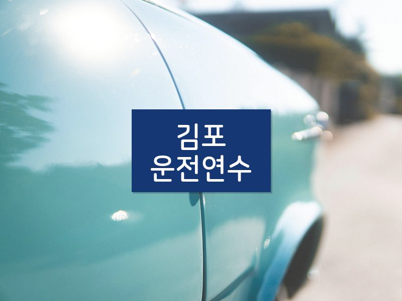 김포운전연수 후기