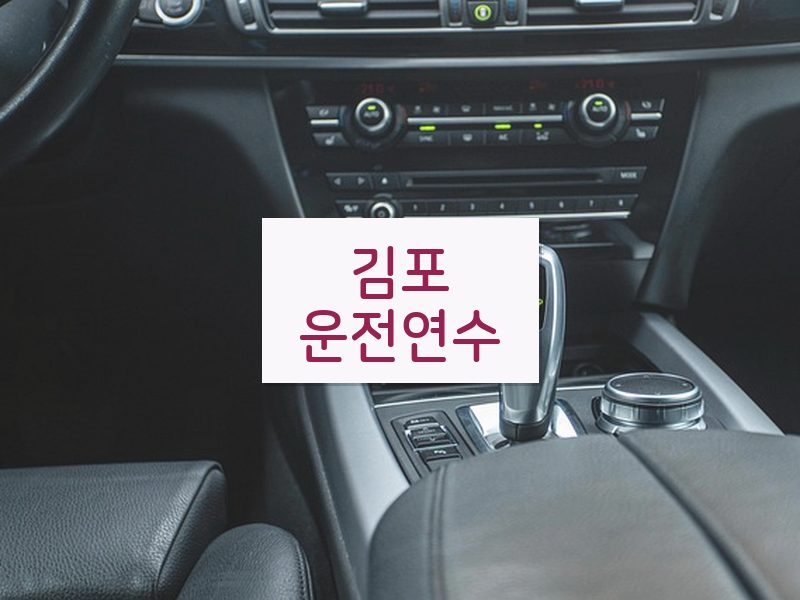 김포운전연수 후기