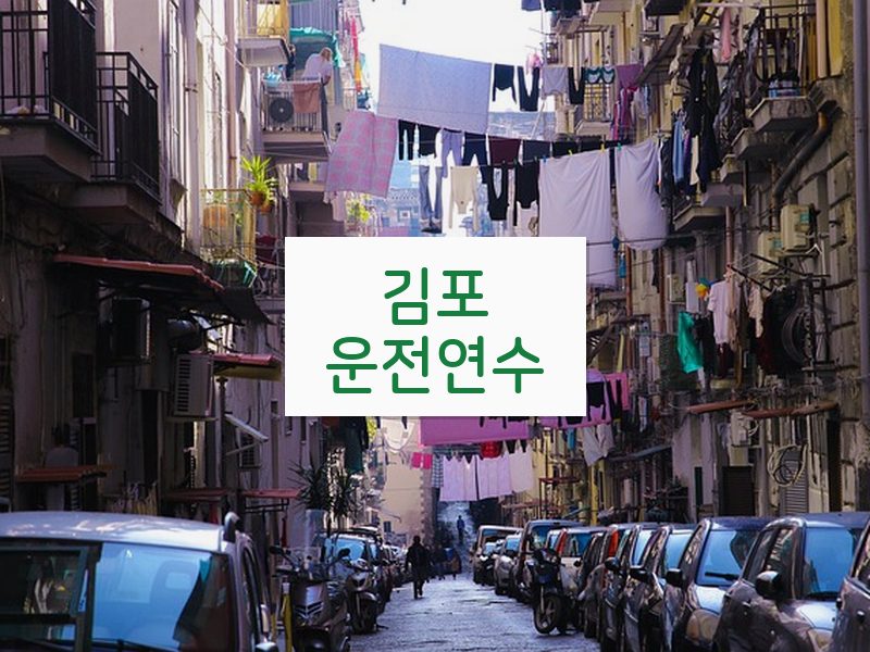 김포운전연수 후기