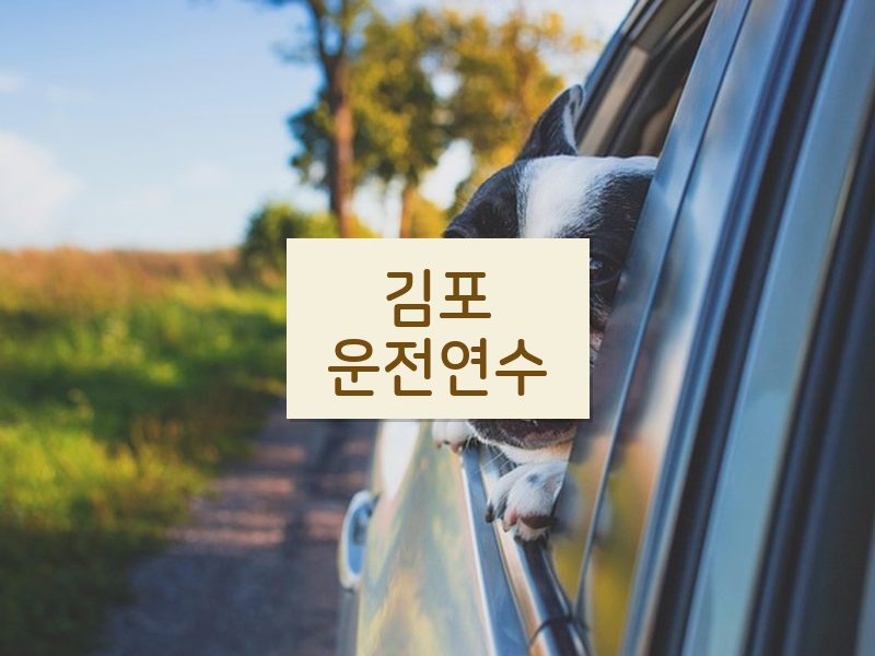 김포운전연수 후기