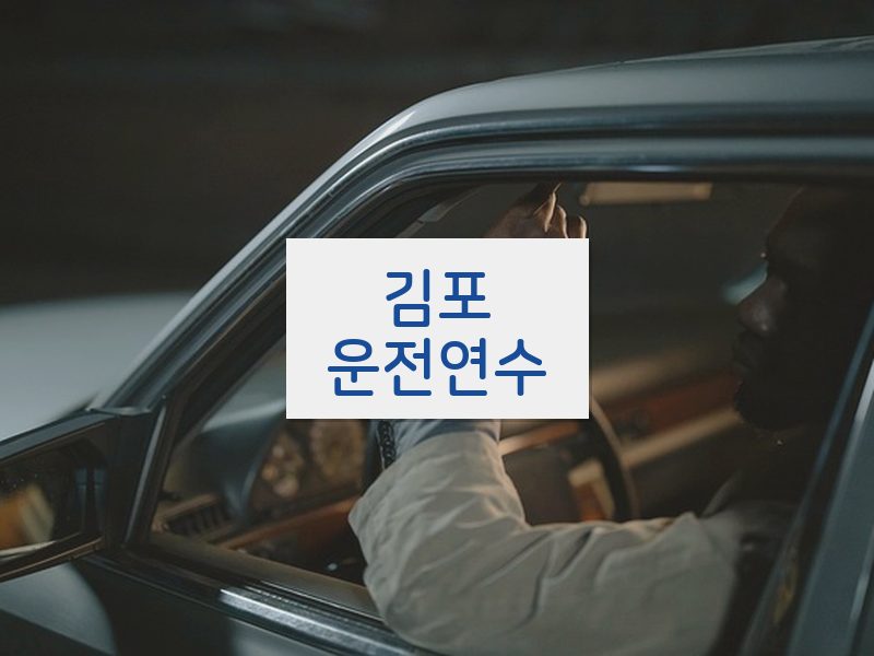 김포운전연수 후기