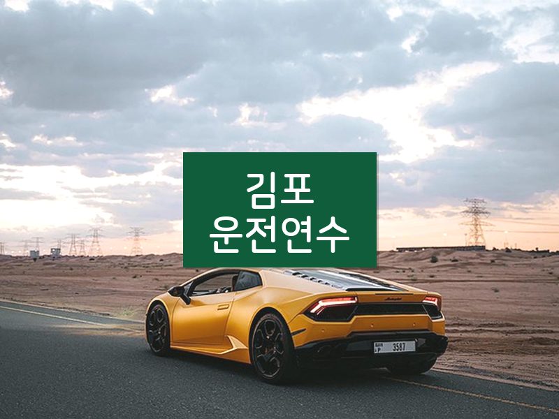 김포운전연수 후기