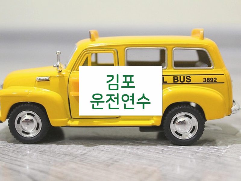 김포운전연수 후기