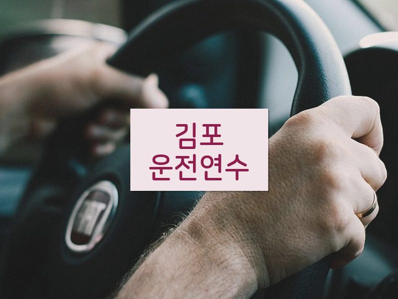 김포운전연수 후기