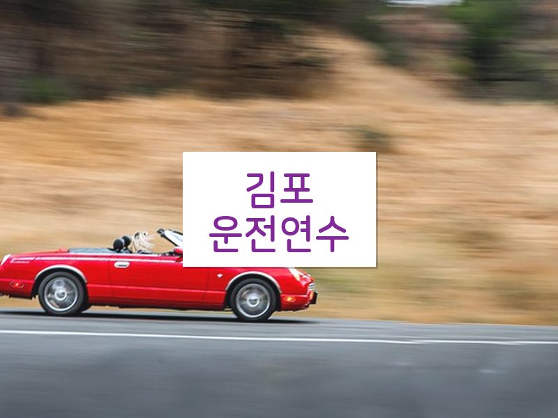 김포운전연수 후기