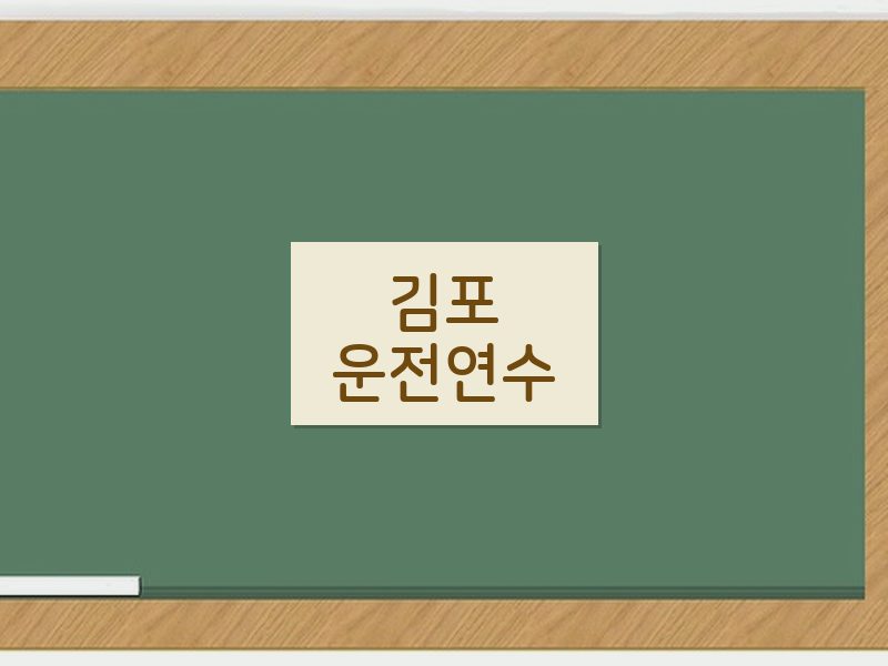 김포운전연수 후기