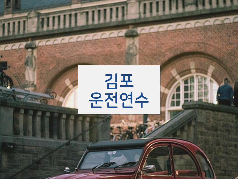 김포운전연수 후기