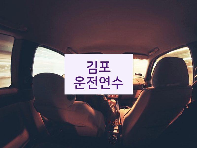 김포운전연수 후기