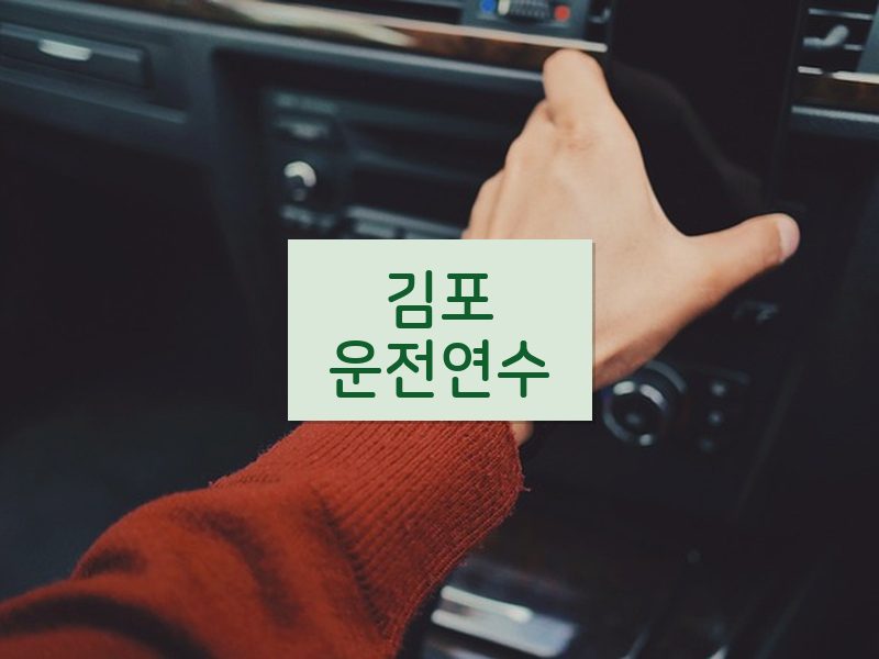 김포운전연수 후기
