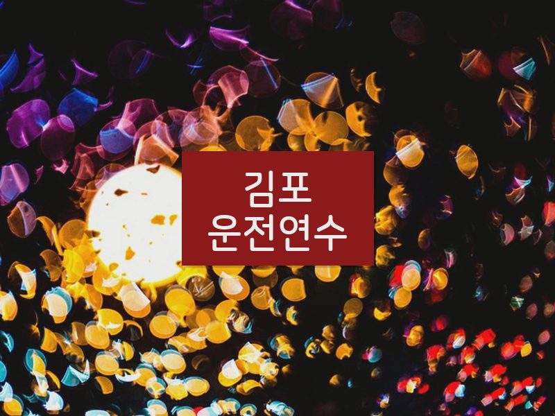 김포운전연수 후기